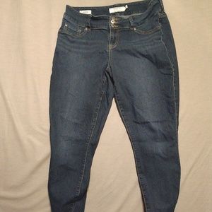 Torrid Jeggings